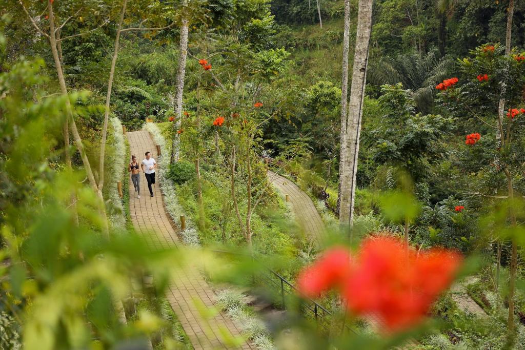  Padma Ubud hotel